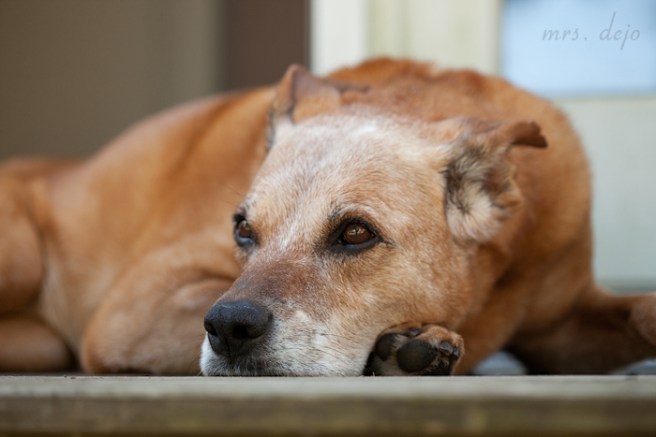 (Oct 05 2014 10-55 PM)Canon Canon EOS 5D Mark II(5616x3744)